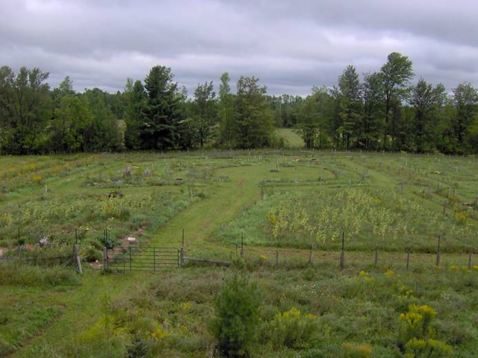 Edible Forest Garden Design, Implementation, and Management
